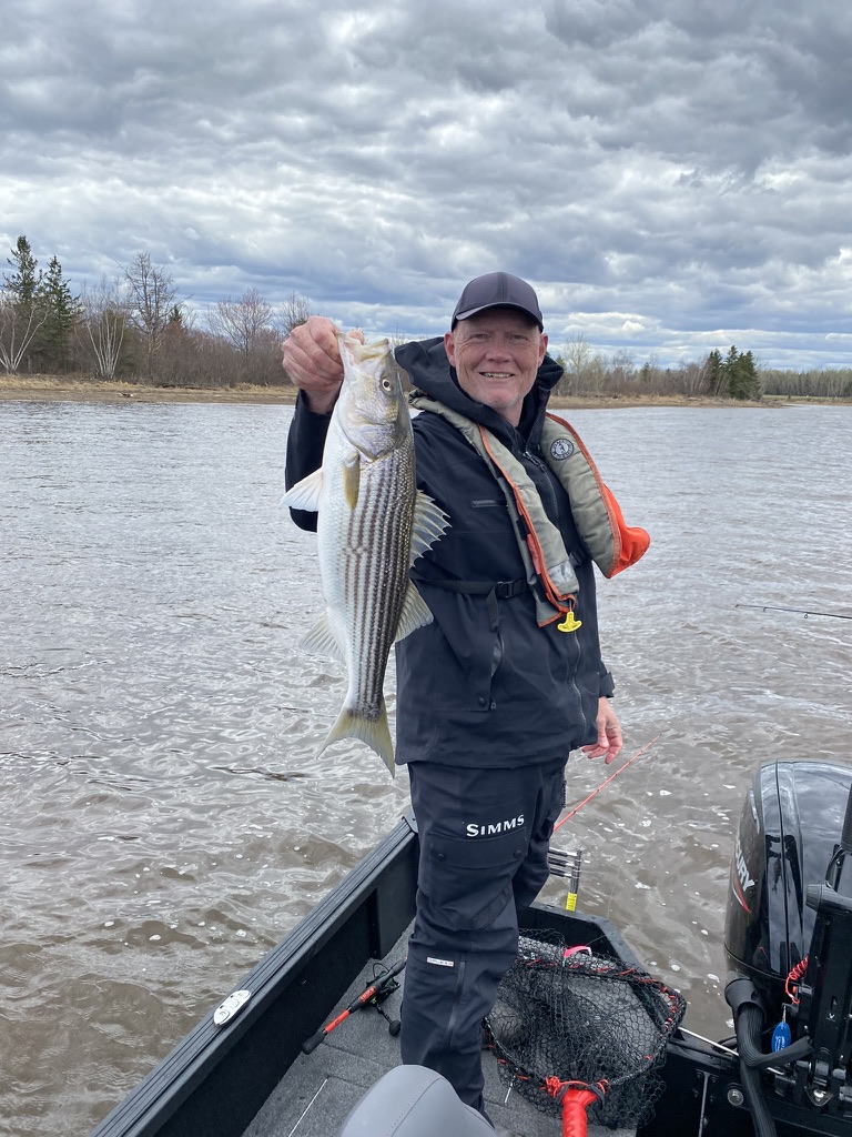 I did catch fish!