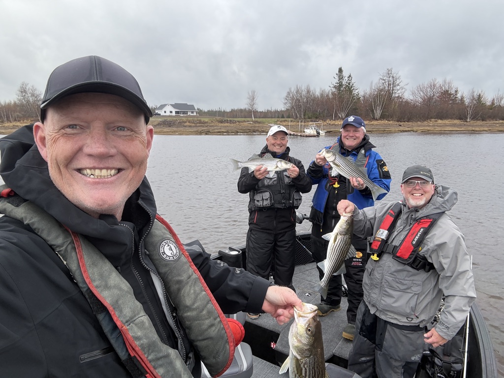 One of several times where we had four fish at once!